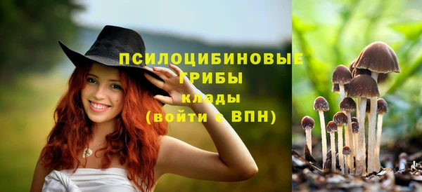 прущий лед Алзамай