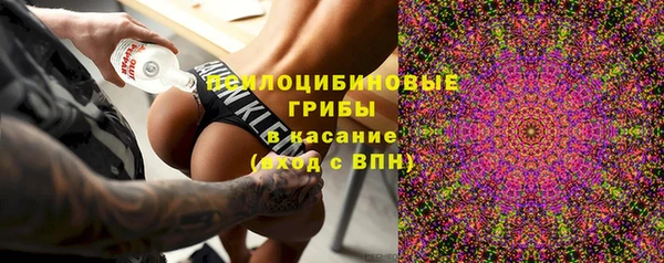 прущий лед Алзамай