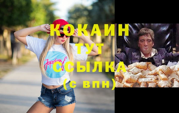 прущий лед Алзамай