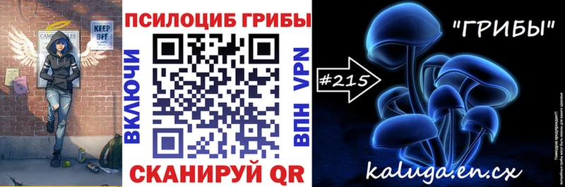 kraken рабочий сайт  Каргат  Галлюциногенные грибы прущие грибы  купить наркотик 